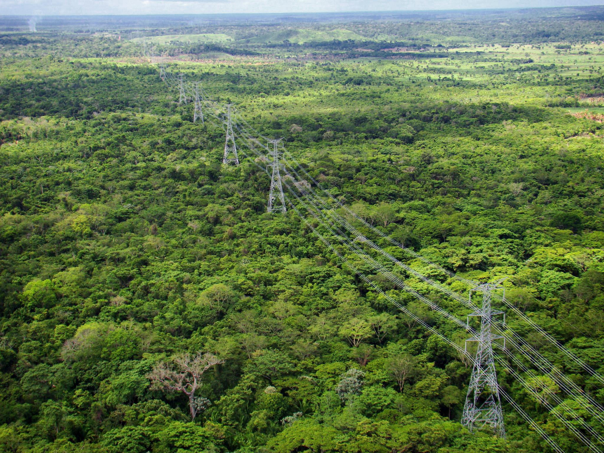 Linhas de transmissão no Brasil: evolução da engenharia elétrica