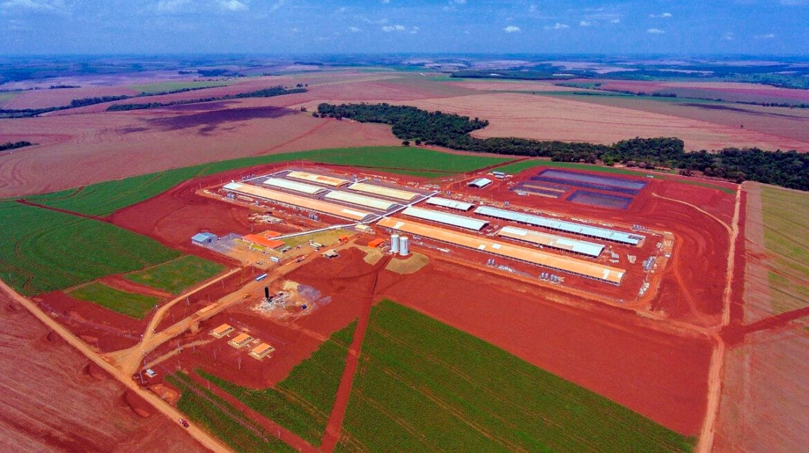 BNDES aprova R$ 216,6 mi para projetos de armazéns da Copacol, Coamo, Energética Santa Helena e Vale do Paracatu