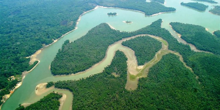  AXIA Energia e BNDES lançam editais para restauração ecológica que somam R$ 30 milhões