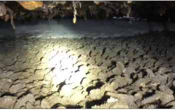 Obras de recuperação de dolfins e plataformas marítimas na Baía de Guanabara conduzidas pela SEEL Engenharia