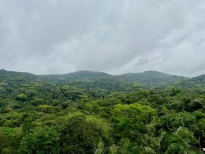 Programa lança edital de R$ 3,2 milhões para projetos de avaliação de impactos ambientais no litoral do Paraná