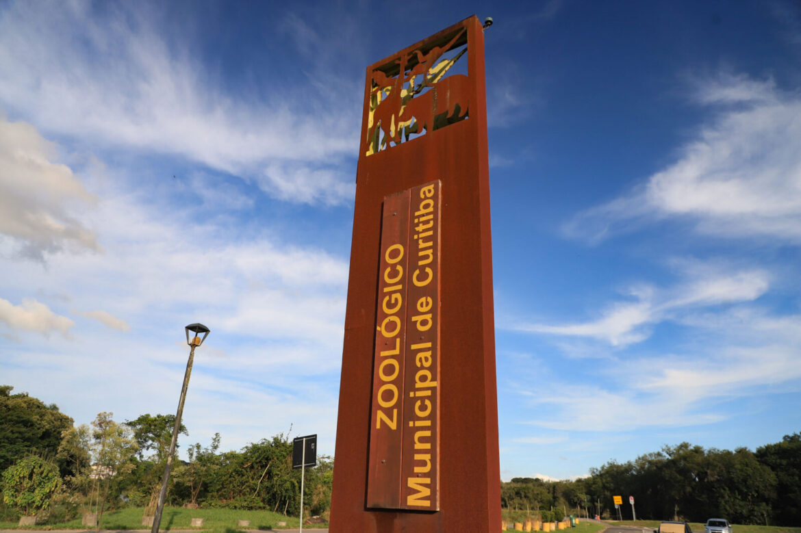 Zoológico de Curitiba instala fibra óptica na rede de esgotos e fornece internet grátis