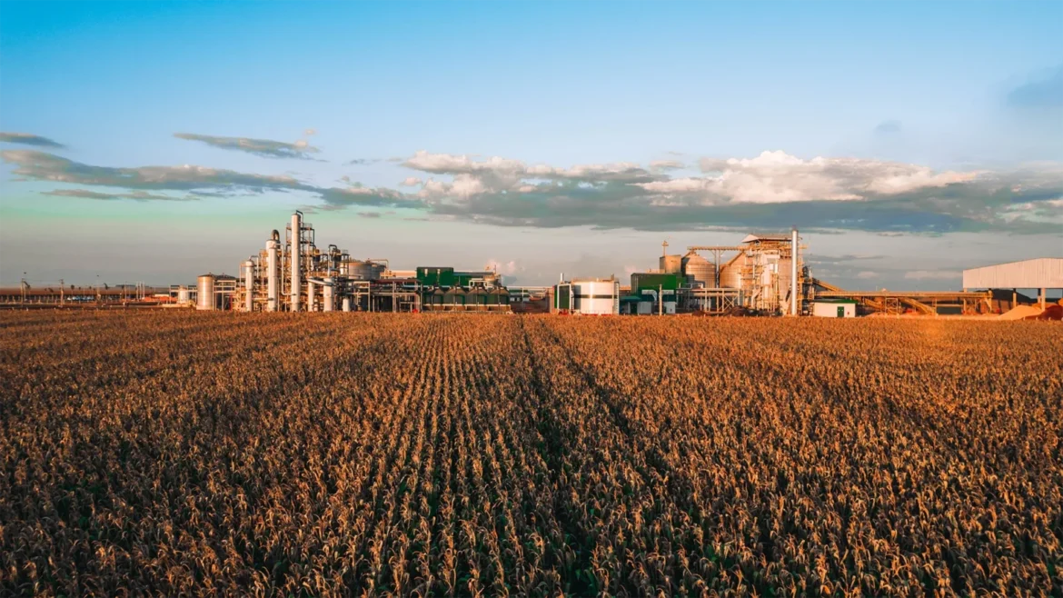 BNDES apoia ampliação de usina de etanol de milho em MT com R$ 575,3 milhões