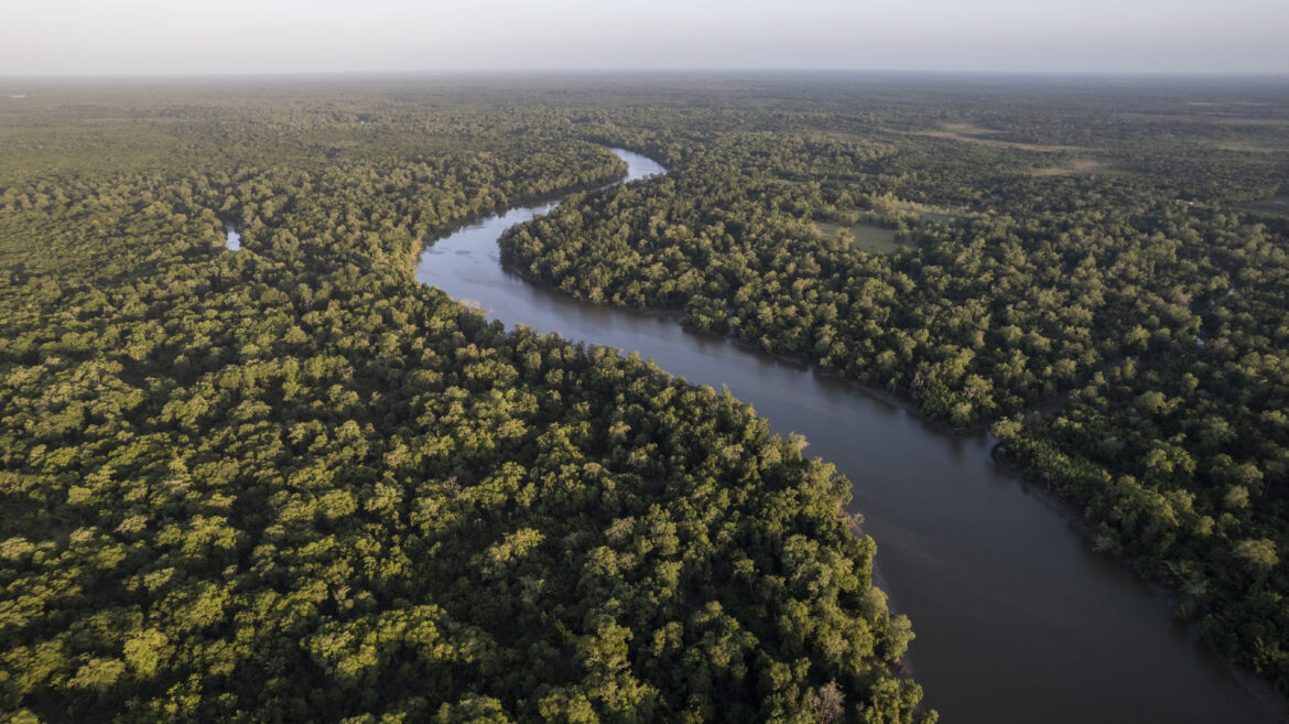 Eneva lança Mapa do Hidrogênio de Baixo Carbono do Amazonas e apresenta oportunidades para a transição energética no estado