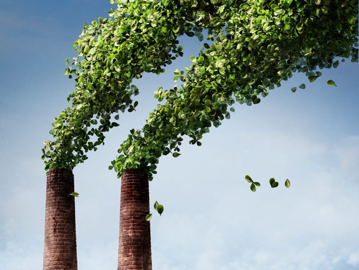 O desafio de incorporar o carbono nas decisões de novos projetos